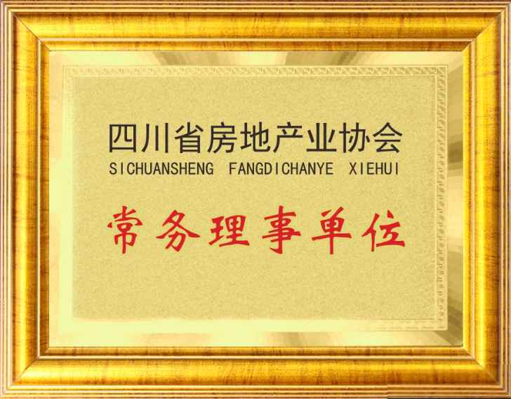 四川省房地产业协会常务理事单位